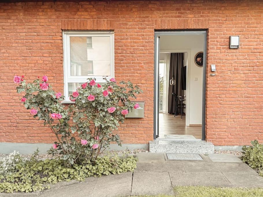 Auszeit - Detmold Apartment Екстериор снимка